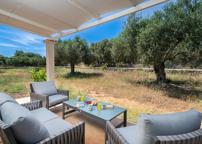 Elia Kefalonia By Olea *