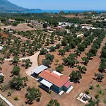 Elia Kefalonia By Olea アルゴストリオン