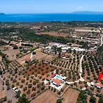 Elia Kefalonia By Olea アルゴストリオン